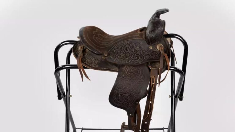 Lainey Wilson's Saddle Country Music Hall of Fame and Museum