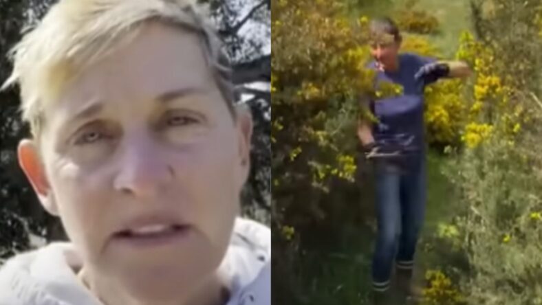 Ellen DeGeneres