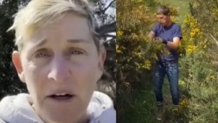 Ellen DeGeneres
